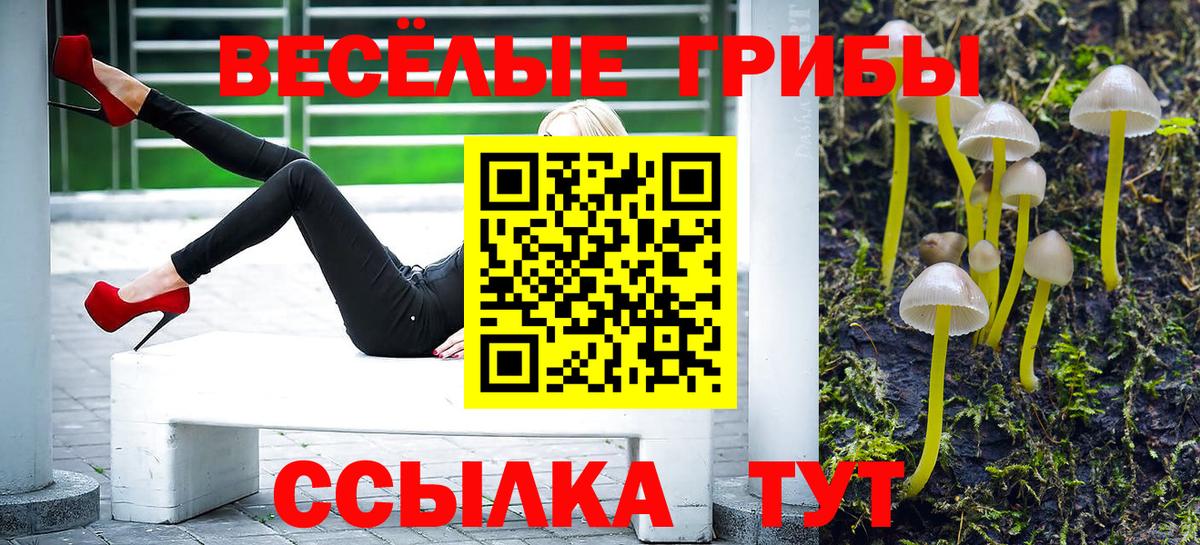 Псилоцибиновые грибы мицелий Чернушка