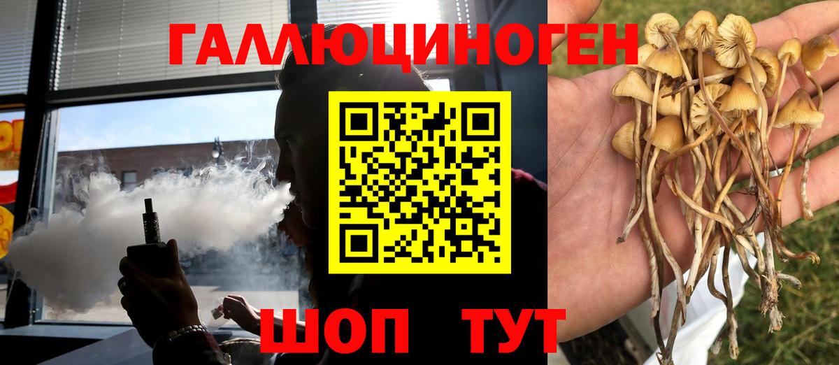 Галлюциногенные грибы Magic Shrooms  Вход с VPN  где купить наркоту  Чернушка 